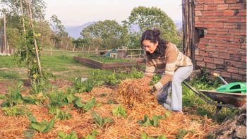 Cuántas hojas secas poner en las macetas y en el jardín: la medida exacta para el bien de tus plantas