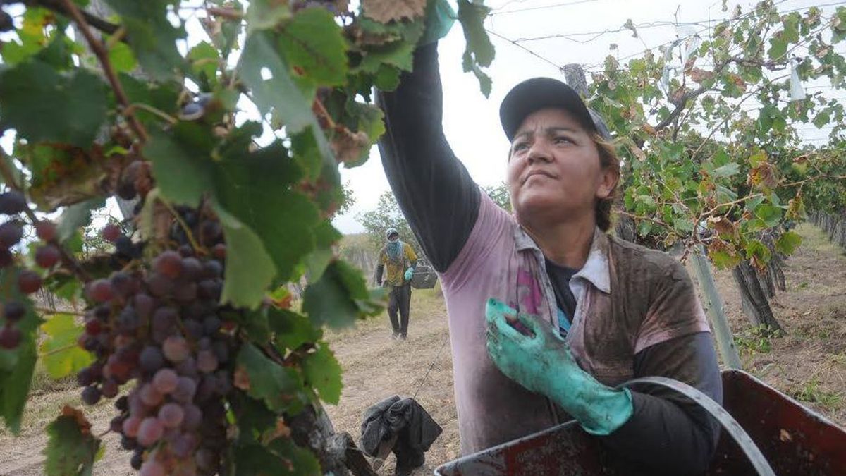 La comuna de San Martín busca un acuerdo con ANSES para incentivar a los obreros locales a que se sumen a la cosecha 2021 sin perder sus beneficios&nbsp;