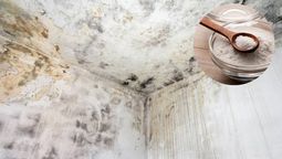 Las paredes de casa pueden transformarse a través del uso del bicarbonato. Las paredes de casa pueden transformarse a través del uso del bicarbonato.