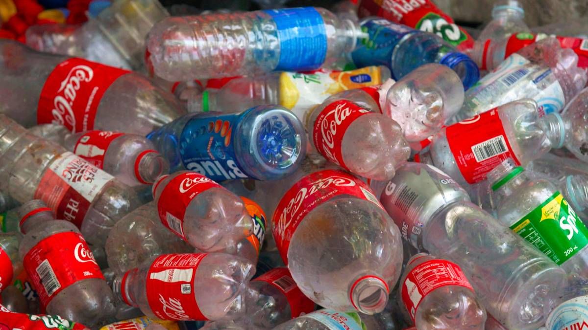 Recicla las botellas de plástico de gaseosa y conviértelas en estas hermosas opciones