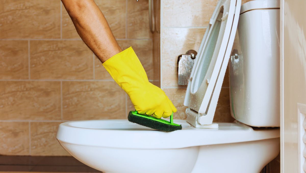 Limpieza: cada cuánto tiempo se recomienda limpiar el inodoro para no considerarse sucio