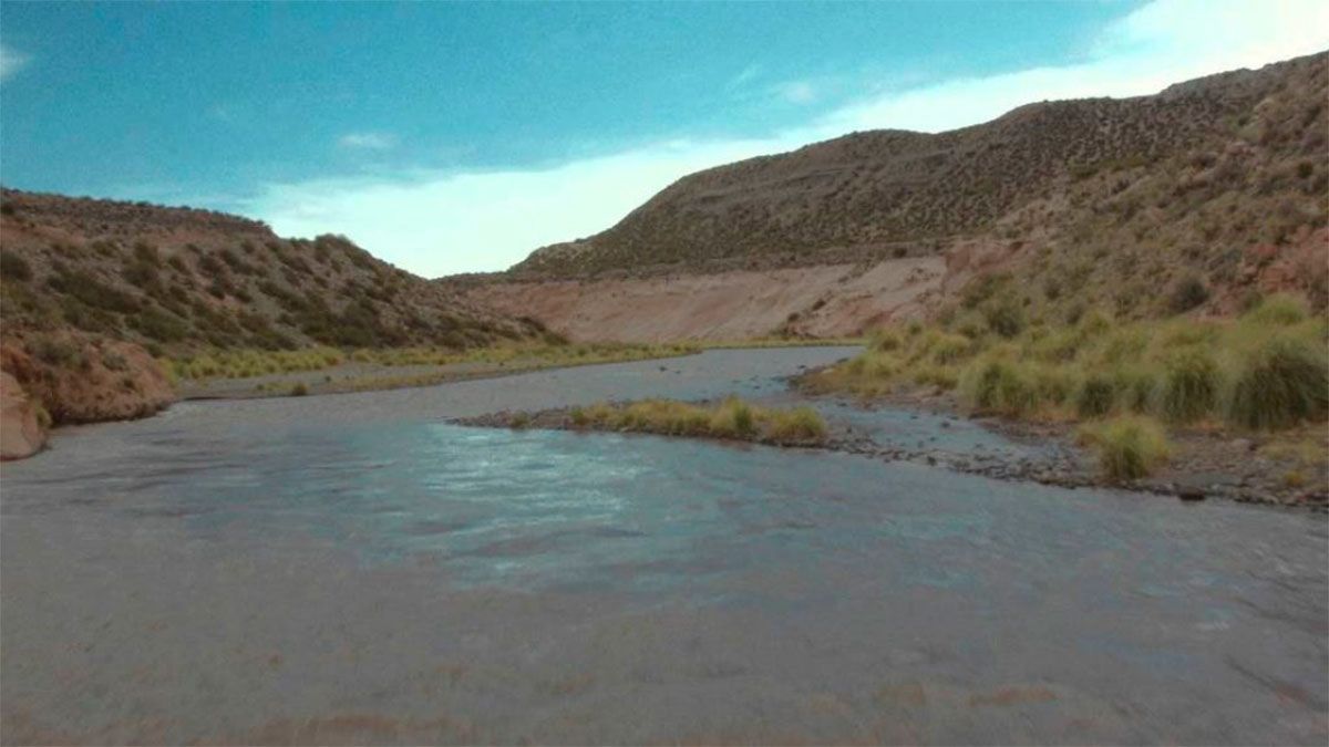Allegados vieron ingresar al hombre al agua, pero detectaron que no salió a la superficie.