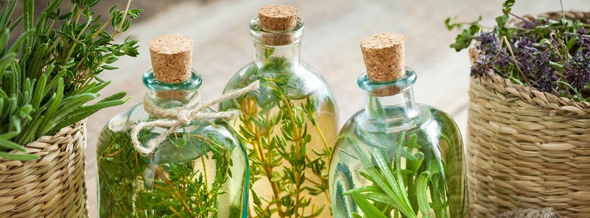 El romero puede darle un gran aroma a tu auto además de protegerlo El romero puede darle un gran aroma a tu auto además de protegerlo