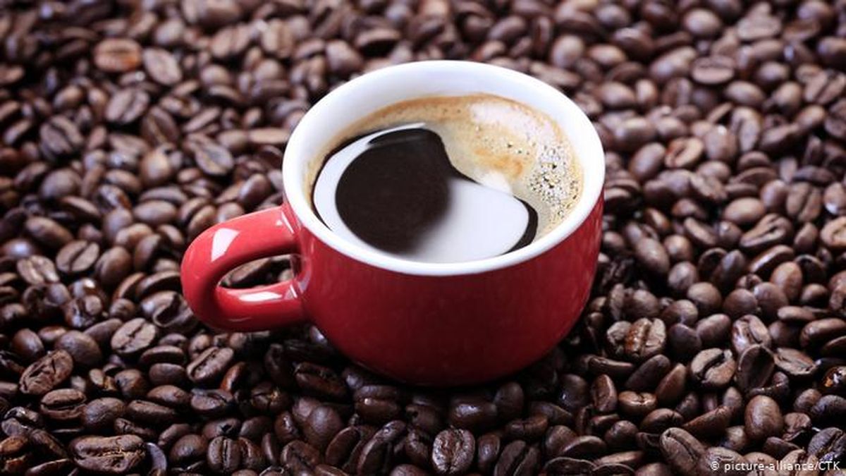Es una buena noticia para los coffee lovers. Es una buena noticia para los coffee lovers.