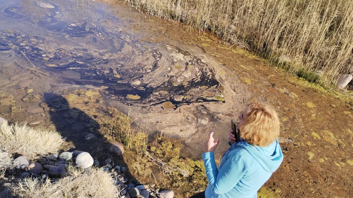 Pasivo ambiental. La inspectora de cauce Emilia Scatolón, en uno de los cursos de agua en los que se ve rastros de hidrocarburo. La foto fue obtenida en los primeros días de setiembre. Pasivo ambiental. La inspectora de cauce Emilia Scatolón, en uno de los cursos de agua en los que se ve rastros de hidrocarburo. La foto fue obtenida en los primeros días de setiembre.