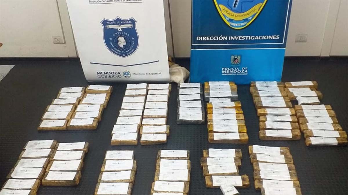 Marihuana secuestrada en Guaymallén