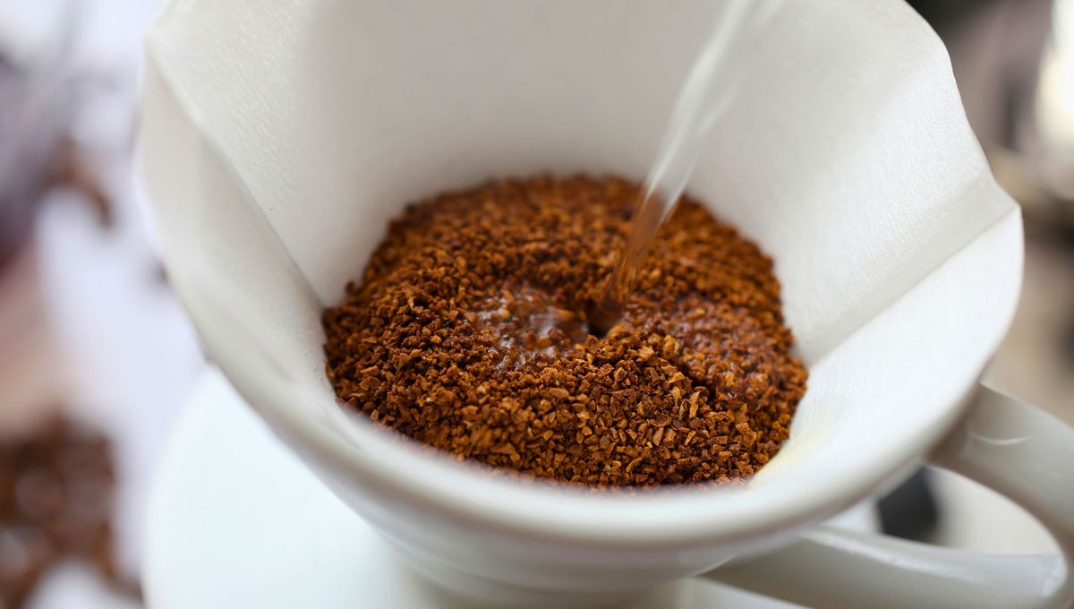 Un secreto y algunos consejos para preparar un buen café de filtro en casa 