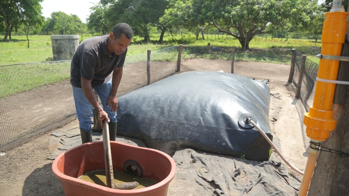 Por cada biodigestor se evita la tala de 106 árboles en Colombia. (Autor: C.R.A.)