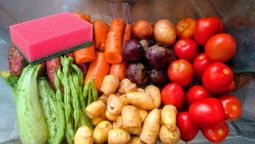 Qué significa el truco de la esponja en el recipiente de las verduras.&nbsp;