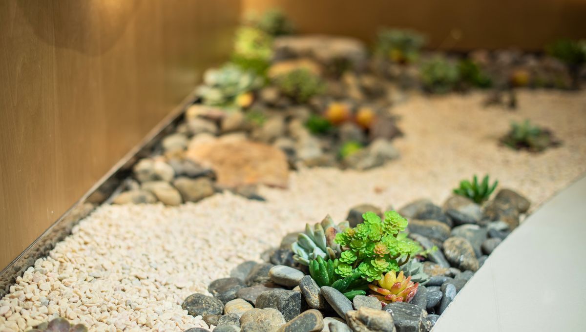 Las piedras decorativas ofrecen una forma sencilla y efectiva de transformar cualquier jardín en un espacio lleno de carácter y estilo.