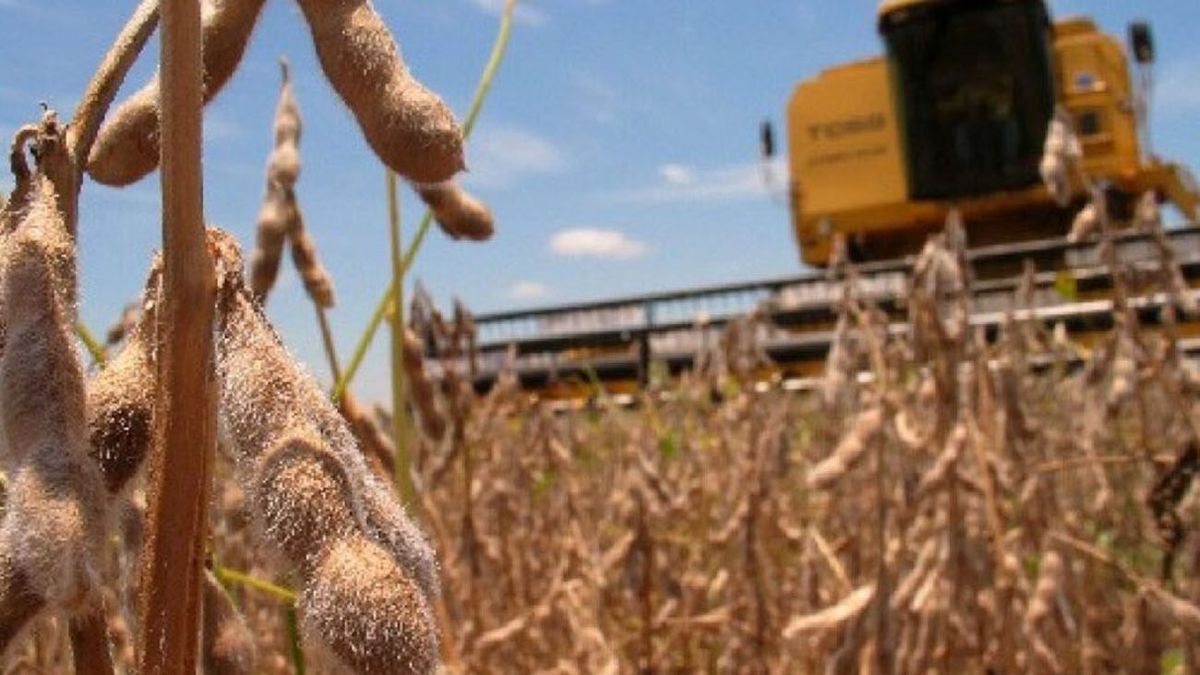 Retenciones, INTA y barreras, algunos de los temas que están en agenda. Retenciones, INTA y barreras, algunos de los temas que están en agenda.