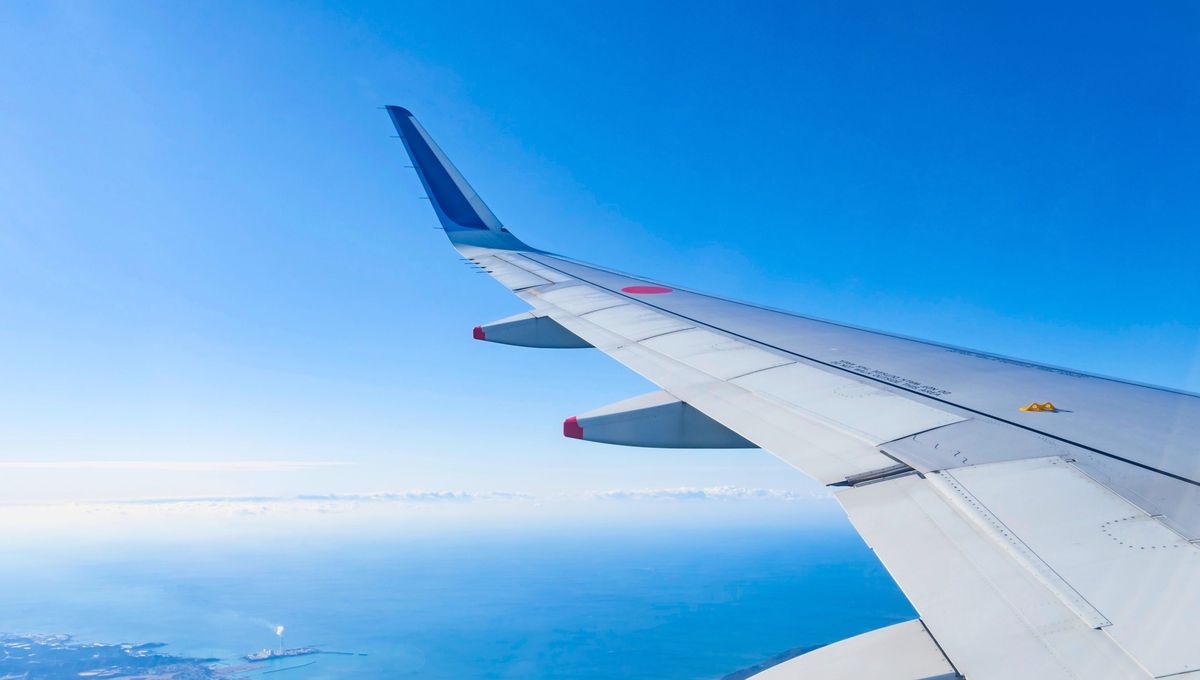 Qué significa este detalle en el ala de un avión.