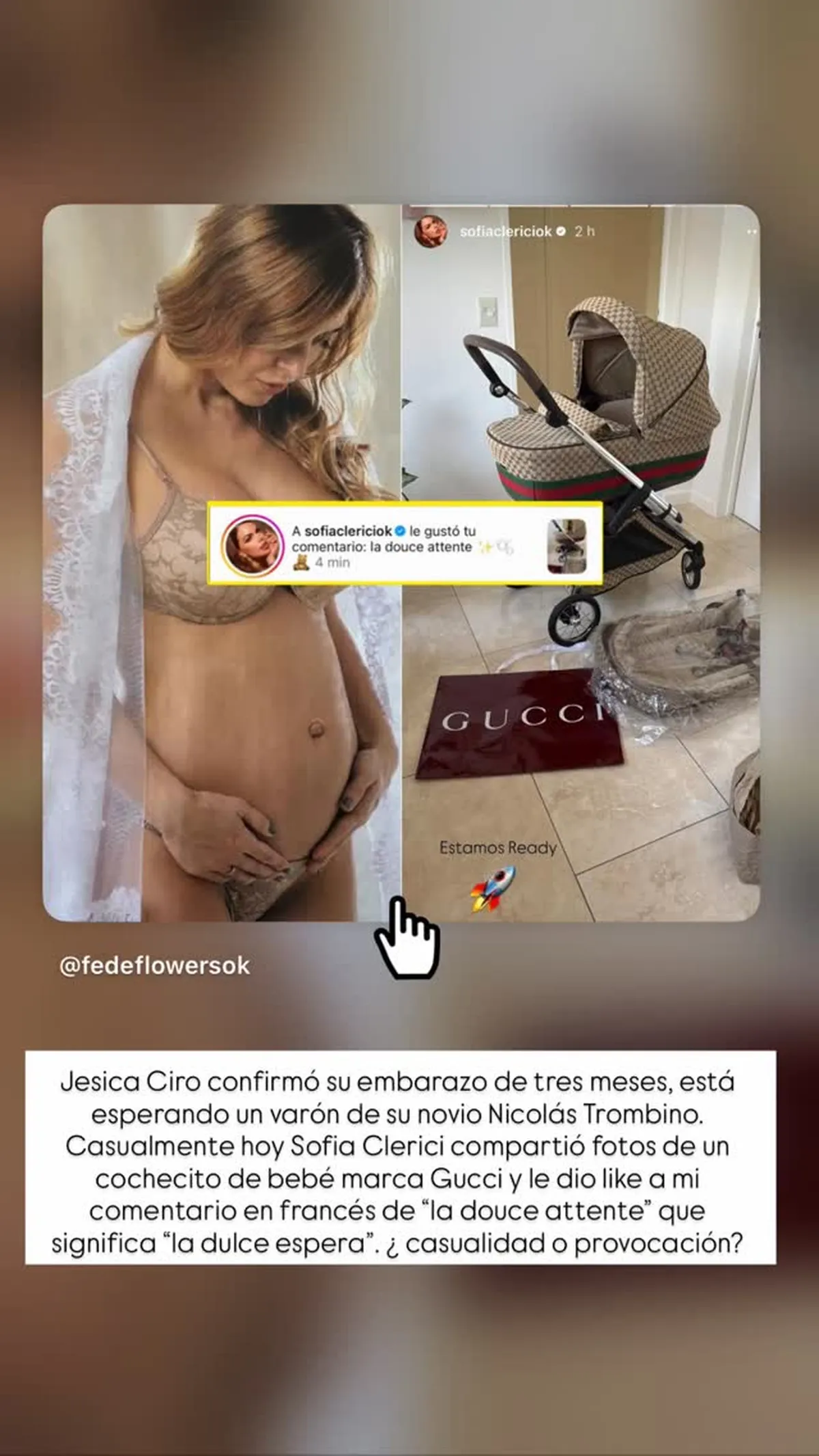 El posteo de Sof&iacute;a Clerici, &iquest;anunciando su embarazo?.