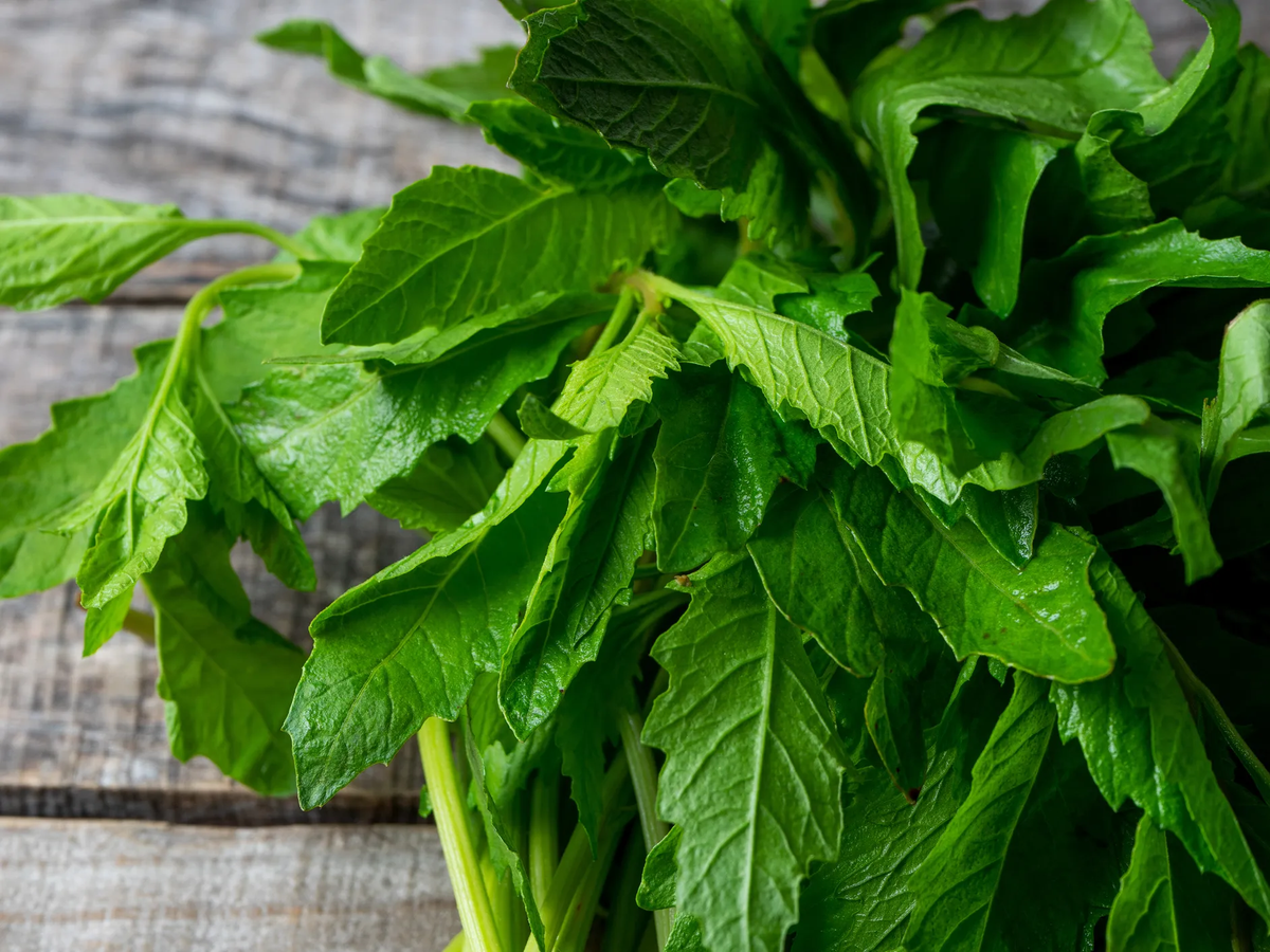 La milagrosa hierba que huele muy bien y cura todos los dolores. La milagrosa hierba que huele muy bien y cura todos los dolores.