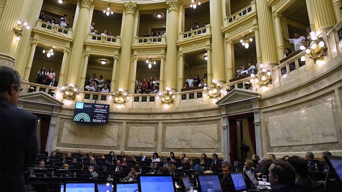 Se observó este viernes un fuerte respaldo de las familias de niños y niñas con cáncer en el Senado de la Nación.