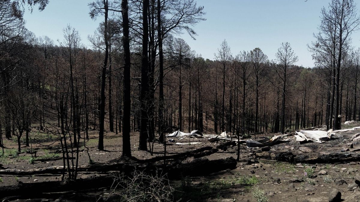 Zona arrasada por los incendios en San Clemente, Córdoba. (Foto: Lourdes Karen Antonella Sauch)