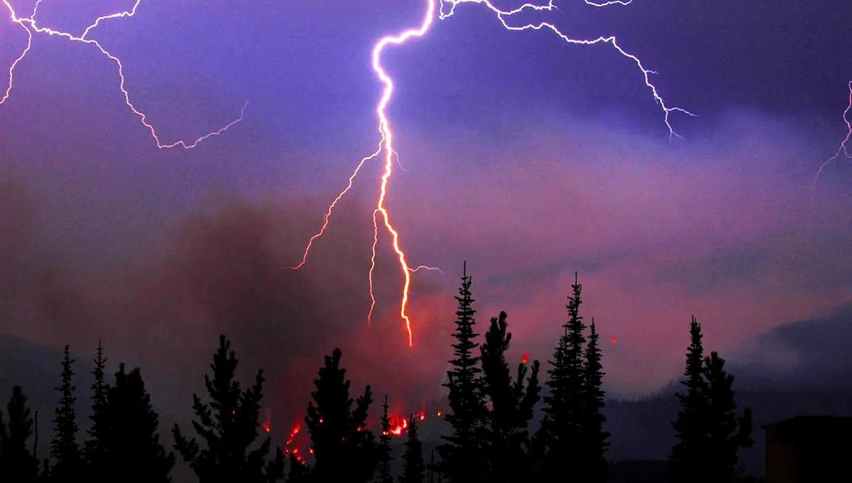 Un nuevo invento puede terminar con los incendios forestales