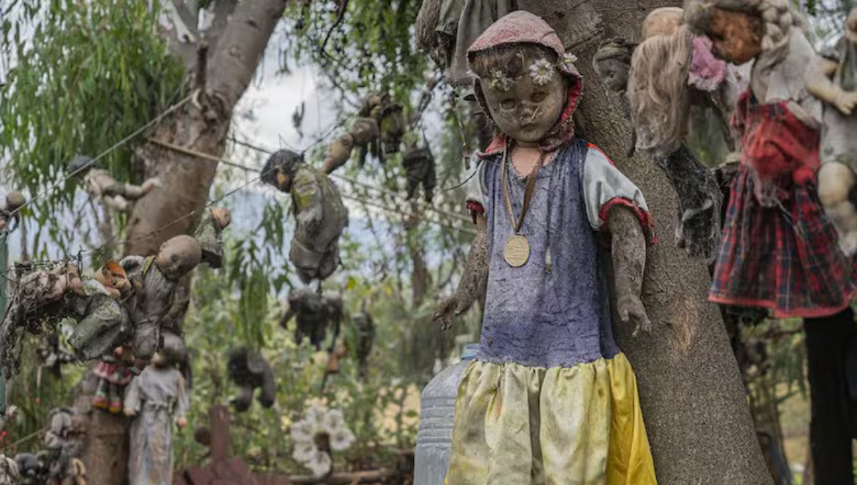 Isla de las muñecas en México: dónde está ubicada, qué cuenta la tenebrosa leyenda y más.