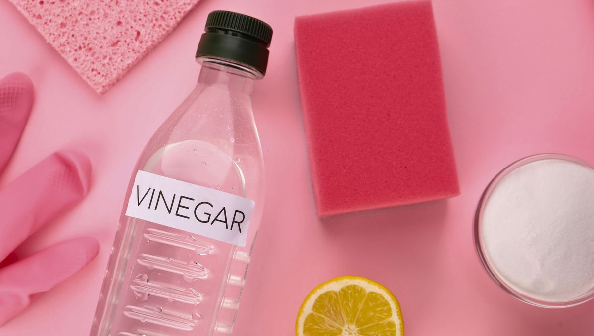 Es importante leer bien las etiquetas de vinagre antes de utilizarlo en la cocina, en trucos de limpieza o para el jard&iacute;n.&nbsp;