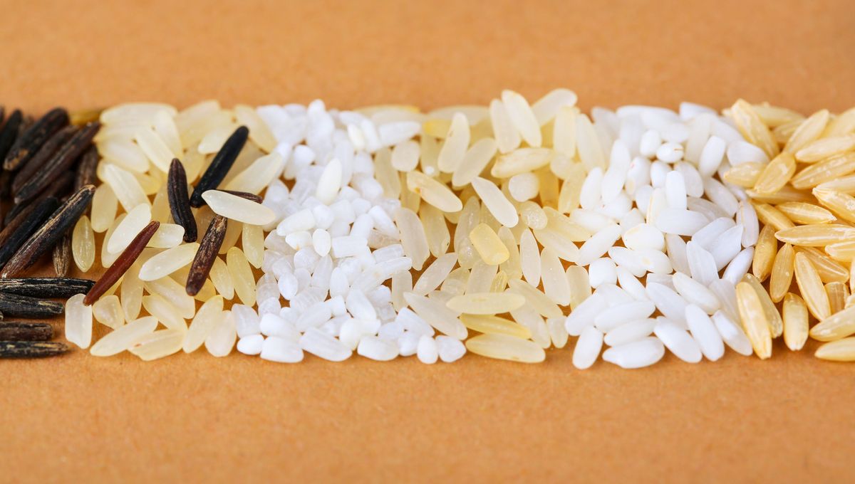 El agua de arroz puede ser utilizada para regar las plantas del jardín o de interior El agua de arroz puede ser utilizada para regar las plantas del jardín o de interior