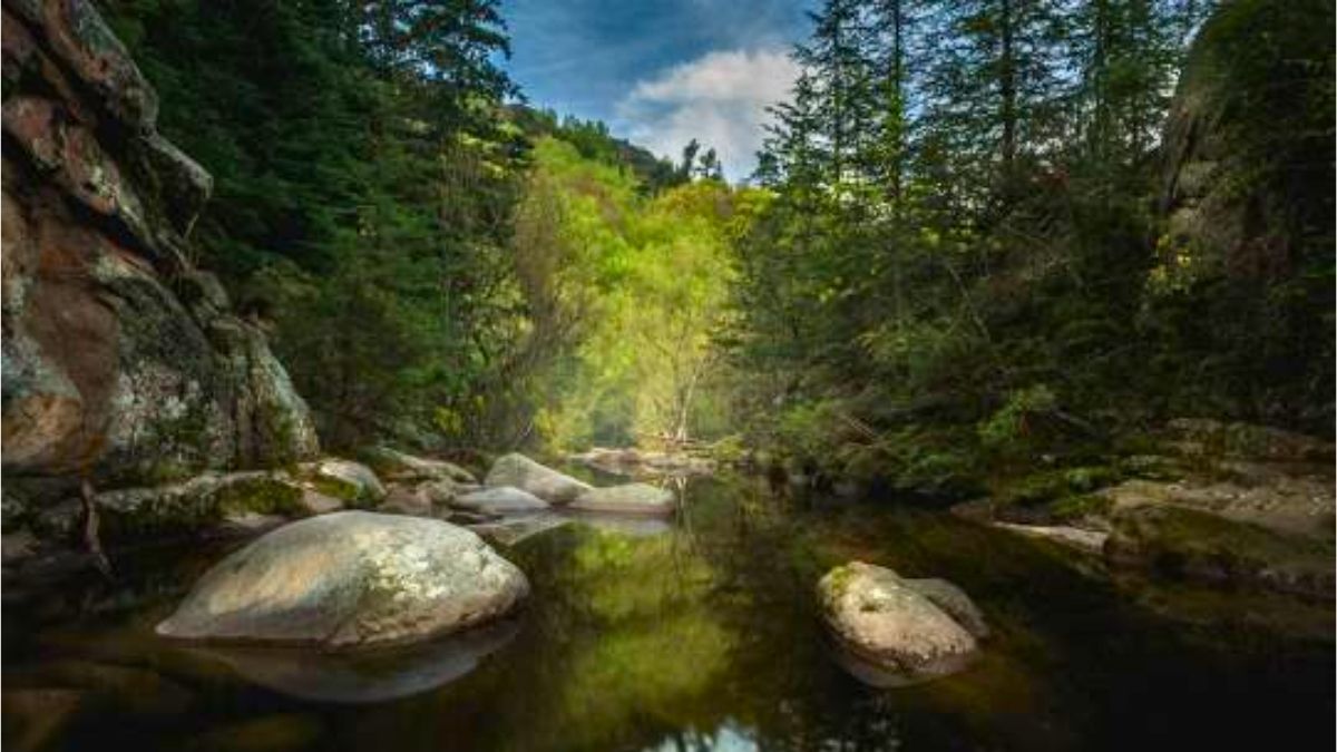 Se te llenarán los ojos en este pueblo cordobés. Se te llenarán los ojos en este pueblo cordobés.