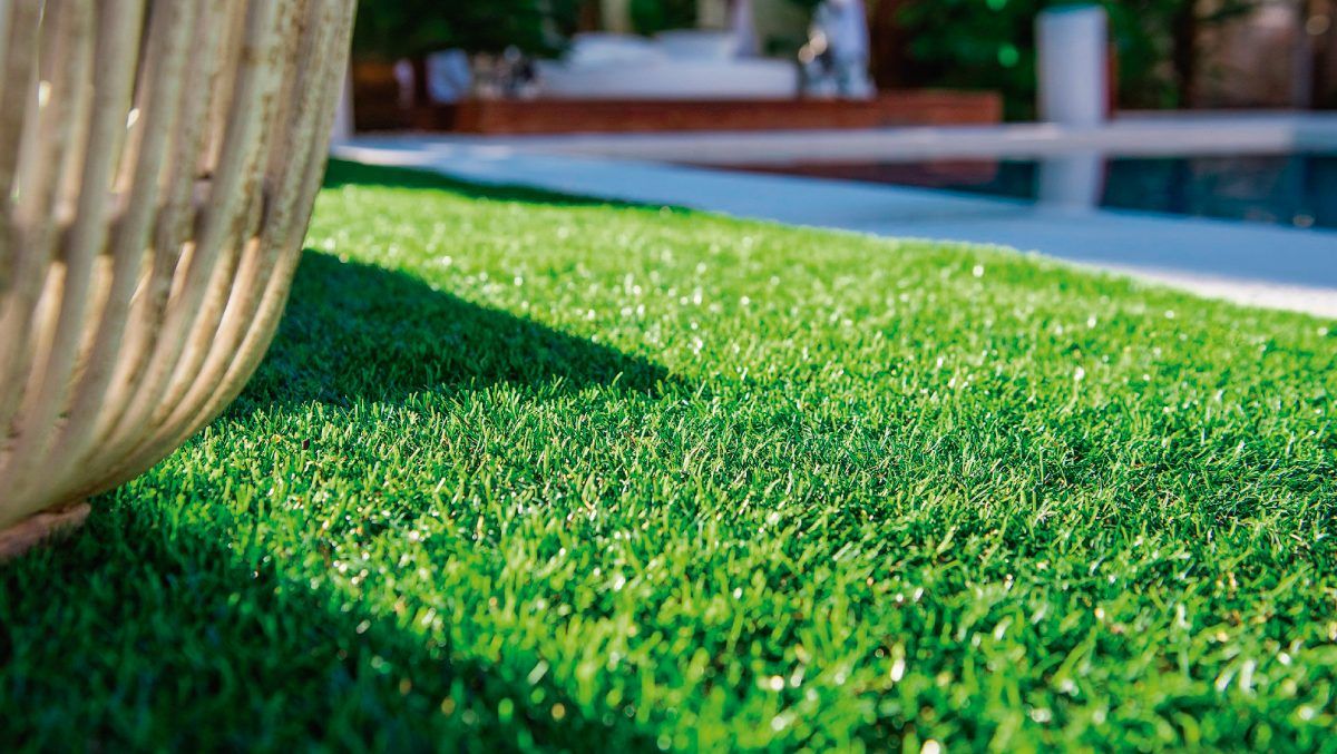 Revelan cuál es la altura de corte ideal para mantener el césped sin irregularidades Revelan cuál es la altura de corte ideal para mantener el césped sin irregularidades