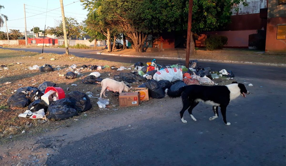 Pastor asesino de perros. Un pastor evangélico mató a un perro porque le rompía las bolsas de basura. Pastor asesino de perros. Un pastor evangélico mató a un perro porque le rompía las bolsas de basura. 