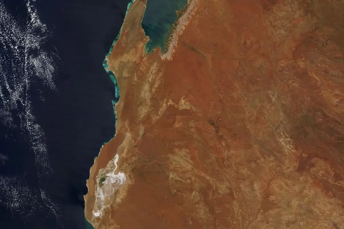 El estudio se enfocó en cañones submarinos de la costa de Australia. El estudio se enfocó en cañones submarinos de la costa de Australia.