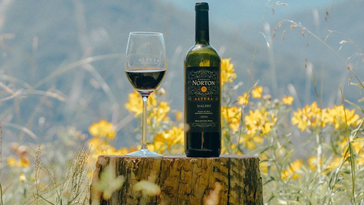 Los activos de bodega Norton, como sus principales líneas de vinos, están en juego con la apertura del concurso. Los activos de bodega Norton, como sus principales líneas de vinos, están en juego con la apertura del concurso.