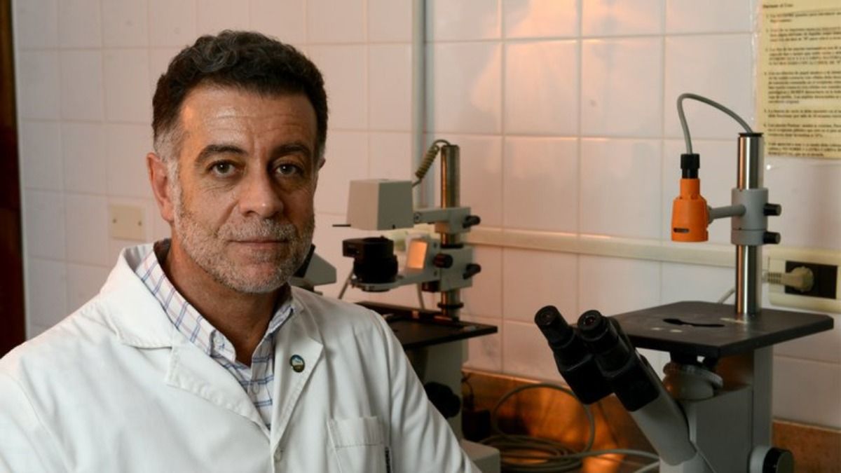 Walter Manucha, investigador principal del Conicet y uno de los referentes de la ciencia en Cuyo. Foto: Conicet. Walter Manucha, investigador principal del Conicet y uno de los referentes de la ciencia en Cuyo. Foto: Conicet.