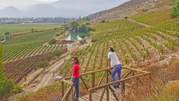 Una típica imagen de los viñedos de Chile sobre los cerros.