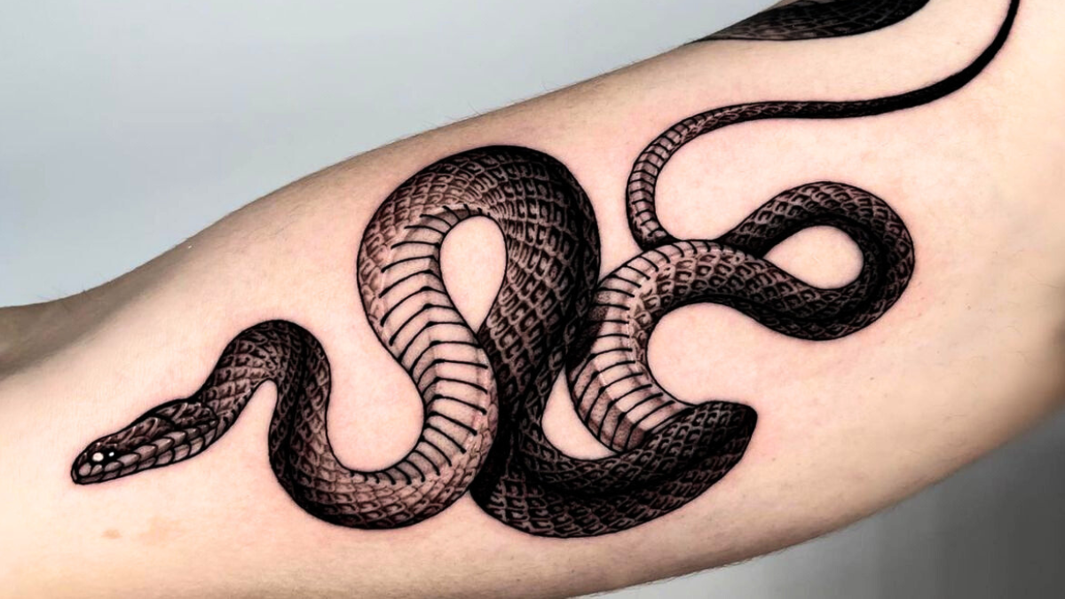 Respira profundo antes de conocer los significados de tatuarte una serpiente