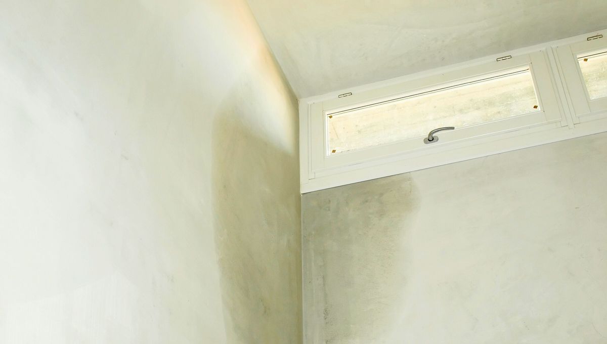 Utiliza almidón de maíz sin miedo. Es un ingrediente natural y muy seguro. Utiliza almidón de maíz sin miedo. Es un ingrediente natural y muy seguro. 