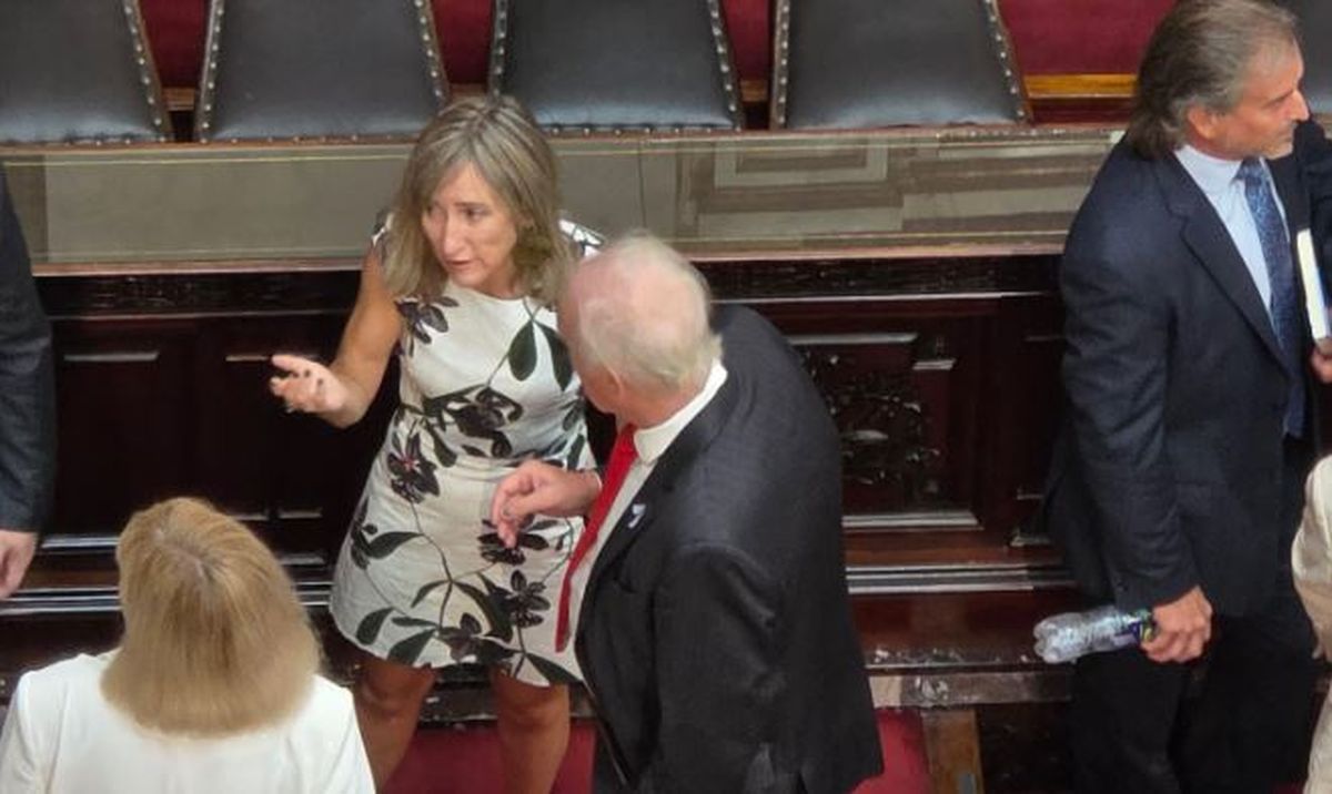 Mechi Llano en el Congreso.