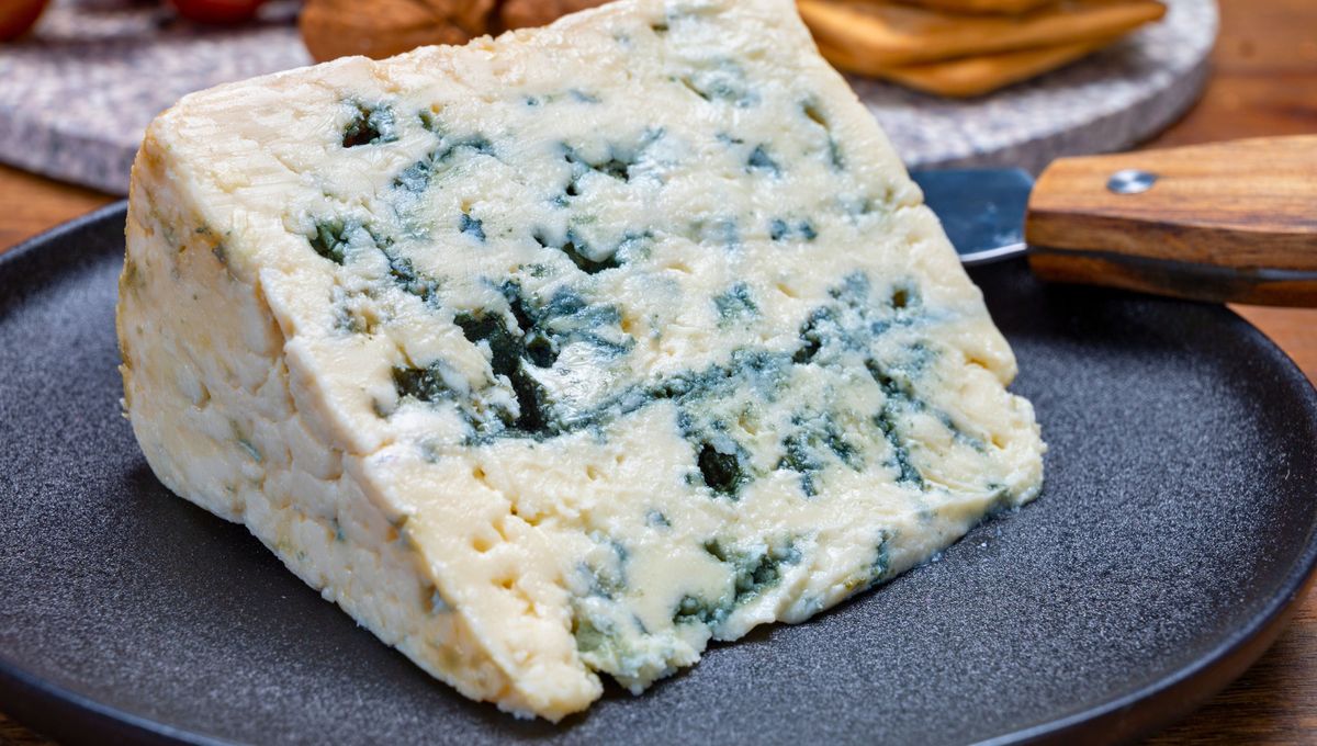 El queso roquefort y el queso azul son alimentos diferentes. El queso roquefort y el queso azul son alimentos diferentes. 