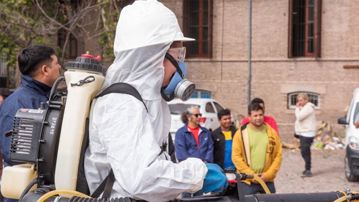 Durante el período epidémico 2022-2023 se han analizado 18 posibles casos del virus del dengue en Mendoza.