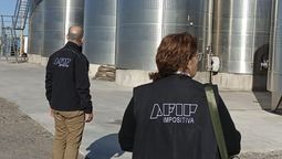 En Mendoza, la AFIP calculó en $5.200 millones la mercadería incautada en diferentes establecimientos vitivinícolas.