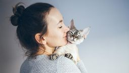 Los gatos tienen una personalidad fuerte e independiente. Siguen sus propias voluntades, al punto que muchos creen que son egoístas.
