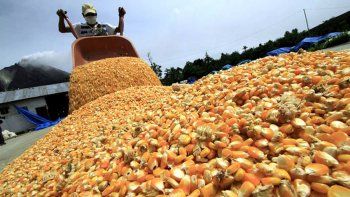 La Mesa de Enlace confirma el paro del Campo por tres días