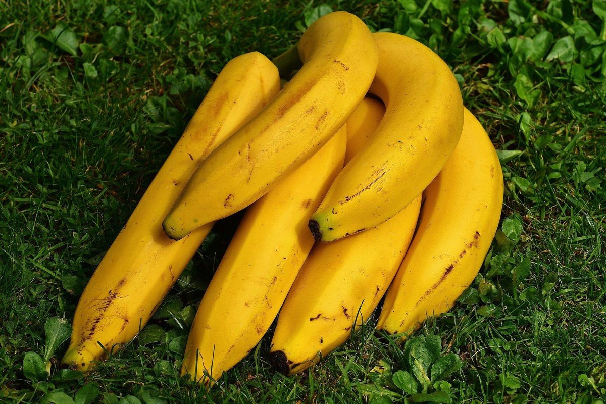 Esta mascarilla casera lleva plátano y aceite de coco. Imagen: Pixabay Esta mascarilla casera lleva plátano y aceite de coco. Imagen: Pixabay