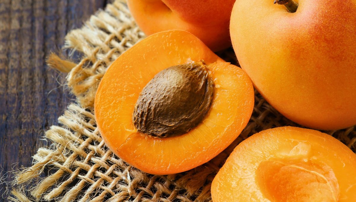 Quien tenga carozos de damasco tiene un tesoro en sus manos: por qué y para qué sirve guardarlos