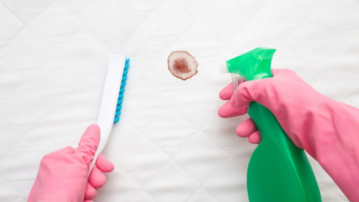 Con estos trucos caseros de limpieza podrás recuperar tus prendas y textiles con manchas de sangre. Con estos trucos caseros de limpieza podrás recuperar tus prendas y textiles con manchas de sangre.