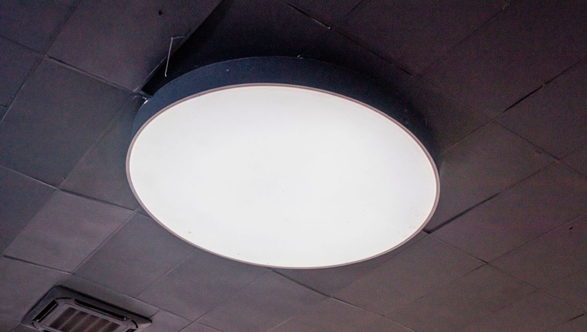 Cuando los plafones de la luz est&aacute;n muy sucios, las l&aacute;mparas no iluminan bien.&nbsp;