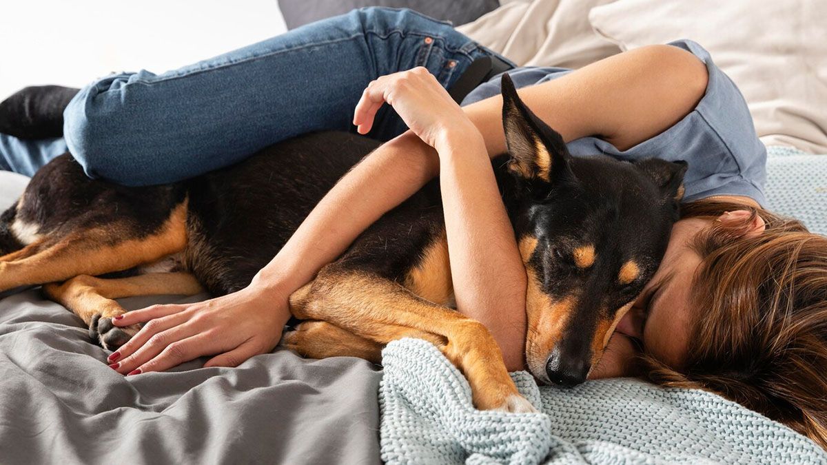 Te sorprenderás cuando entiendas por qué los perros buscan dormir con sus dueños