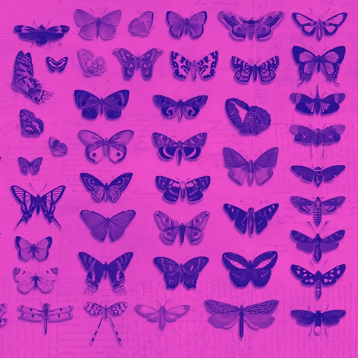 Imagen del seminario LGTBI que se desarrolló en mayo en la UNCUYO. Imagen del seminario LGTBI que se desarrolló en mayo en la UNCUYO.