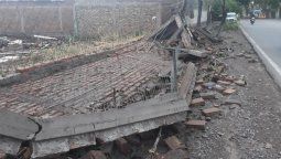 La tormenta dejó caída de árboles