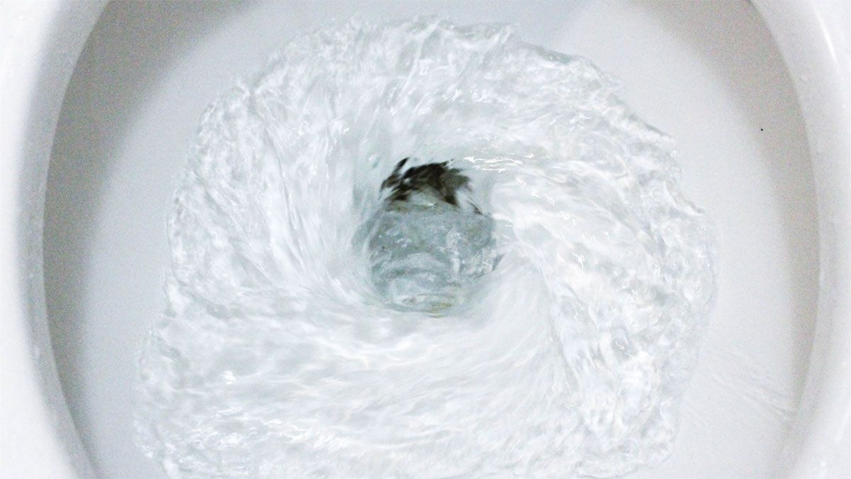 Cómo destapar el inodoro del baño sin sopapa ni elementos químicos
