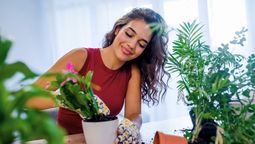 Plantas, abundancia, dinero