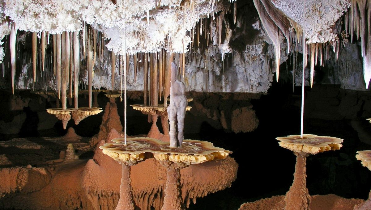 El Parque Nacional que conserva una de las cavernas más profundas: se trata de un mundo oculto bajo tierra