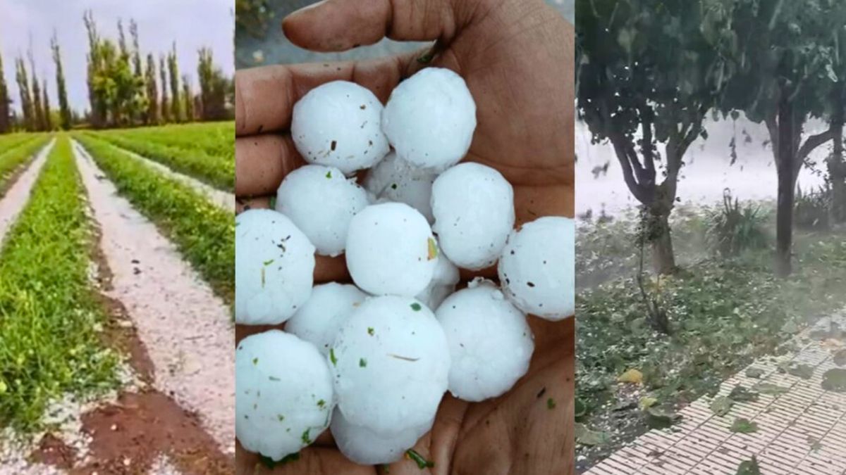 San Rafael ha sido uno de los departamentos más afectados por el granizo durante enero. San Rafael ha sido uno de los departamentos más afectados por el granizo durante enero.